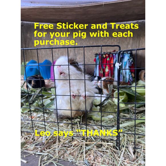 Guinea Pig Small Animal Pads 11" Reversible Fleece Boho Retro VW Cage Decor X2 - Picture 6 of 6